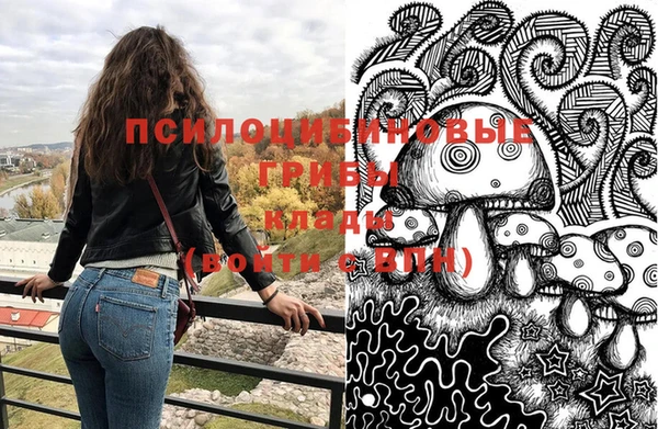 мет Алексин