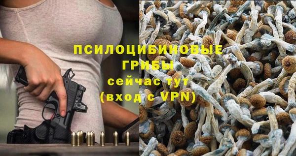 ALPHA-PVP Алексеевка